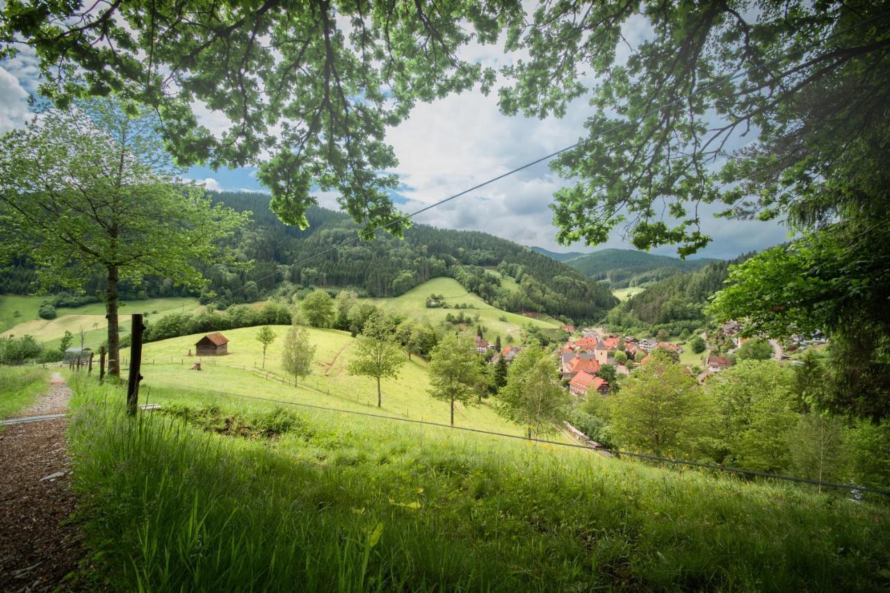 Landhotel Hirschen Oberwolfach Extérieur photo